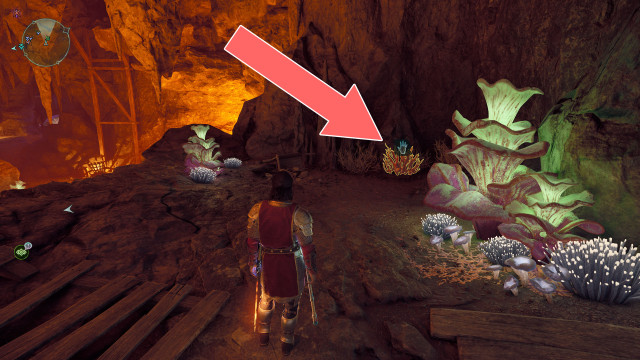 Cave Coral x2