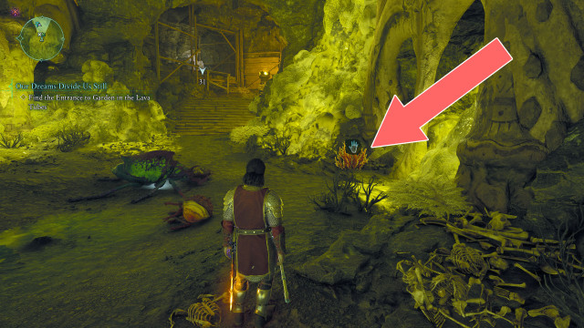 Cave Coral x2