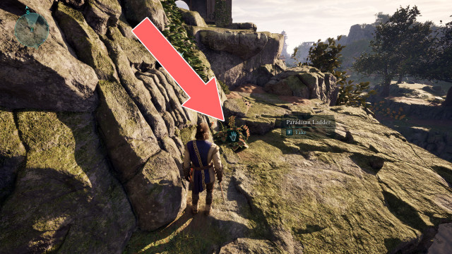 Paradisan Ladder x2