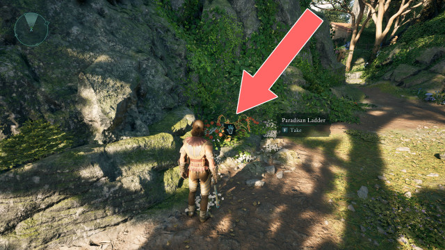 Paradisan Ladder x2