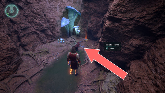 Thief's Journal