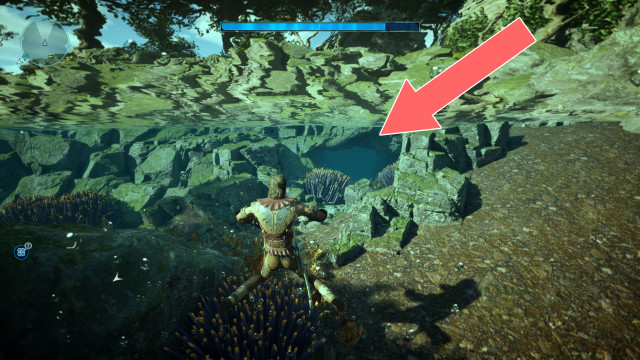 Underwater Cave Entrance