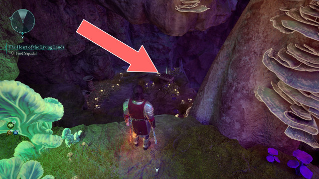 Locked Chest