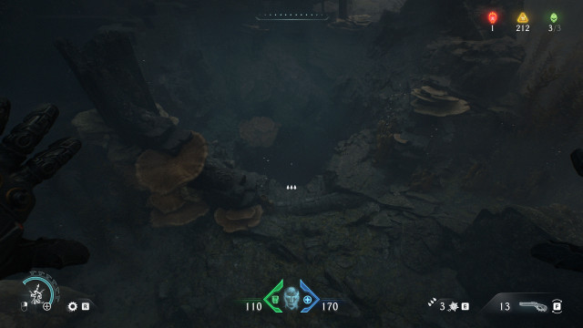 Secret Area (Spire of Nerathul #9)