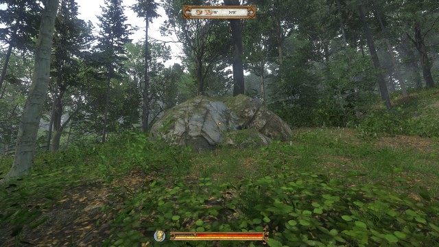 (Optional) Cross the trunk to the other side and go uphill until you reach a big boulder.