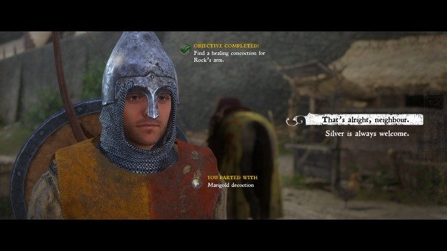 (Optional) Find a healing concoction for Rock's arm.