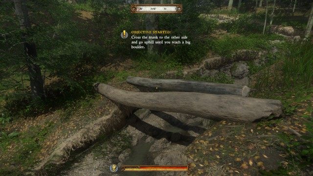 (Optional) Go down to the stream until you see a fallen tree-trunk lying across it.