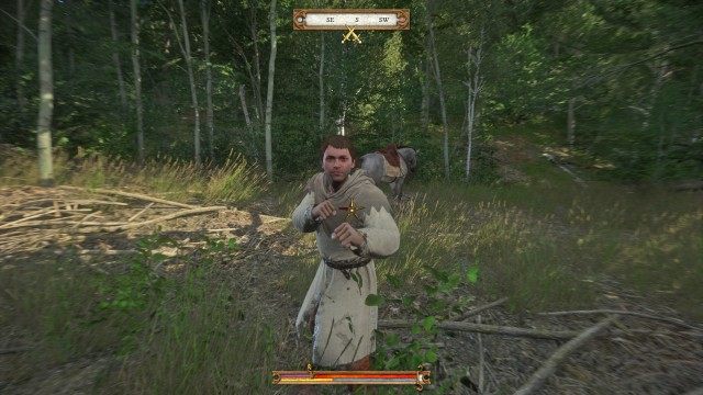 Return Pie to the stables.