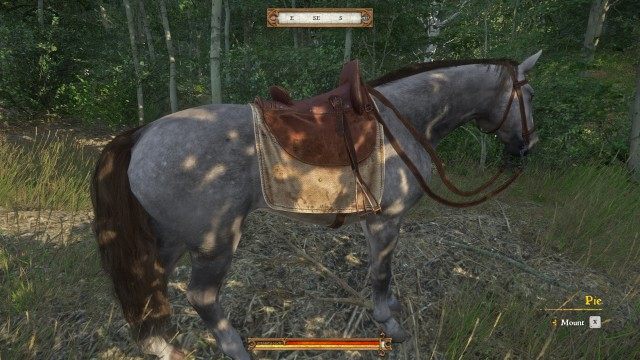 Return Pie to the stables.