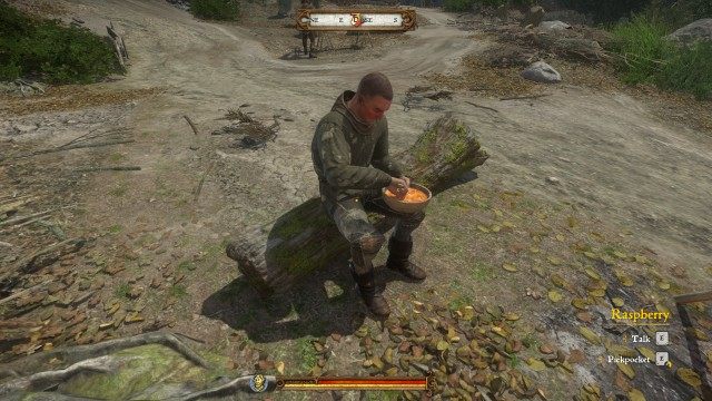 Talk to the woodcutter called Raspberry.