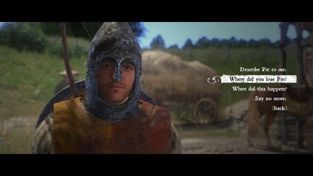 Talk to Vashek, the stableboy.