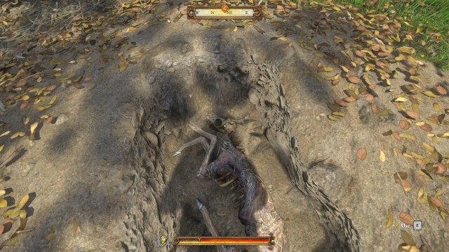 Explore the clearing where it all went on.