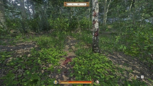 Follow the trail of blood.