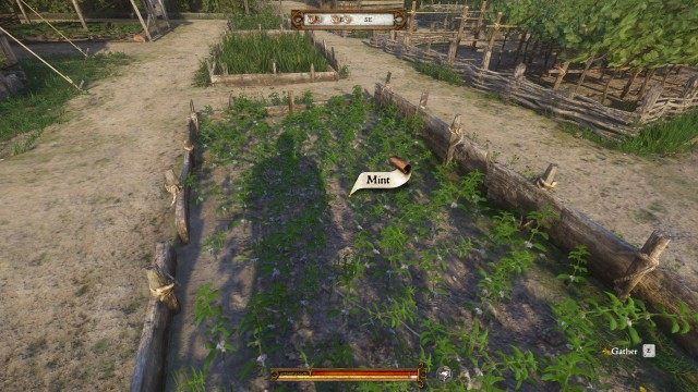 (Optional) Get enough mint. (0/60)