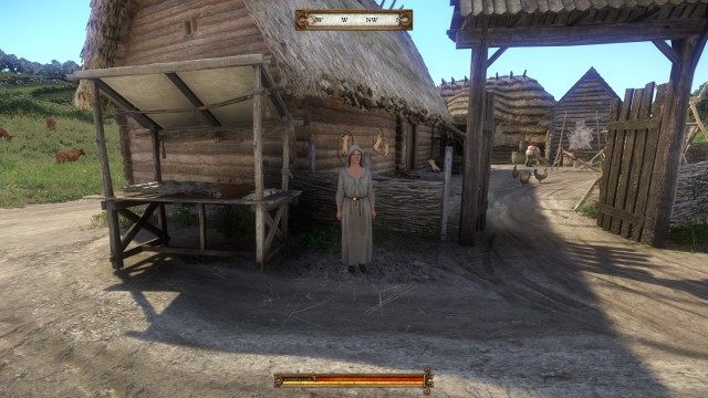 Get hold of a dog skin. (0/1)