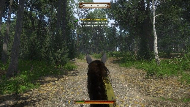 Go straight ahead to the next fork by a clearing with a big beech tree.