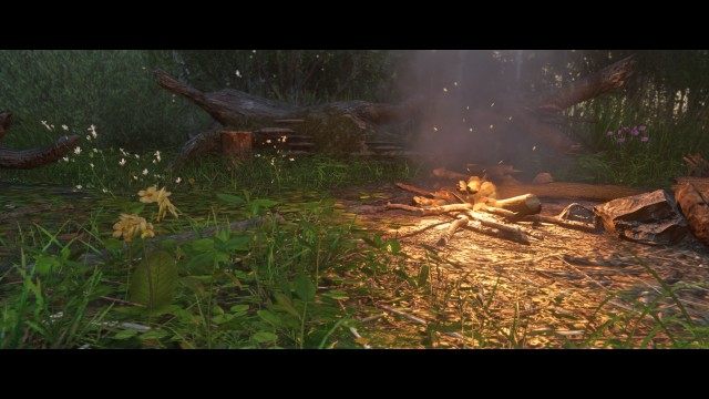 Light a fire as a signal to the bandits.