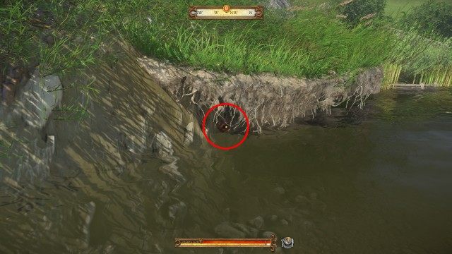 Look around the place where Leshek dropped the skull.