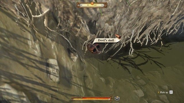 Look around the place where Leshek dropped the skull.