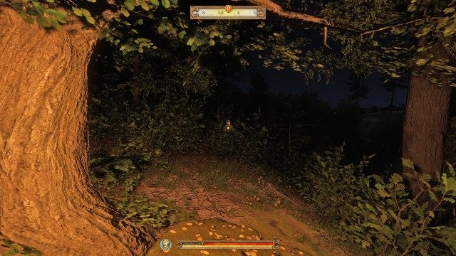 (Optional) Meet up with Hanekin Hare.