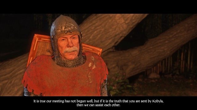 Meet with the mysterious Knight at the pond. (I persuaded him)