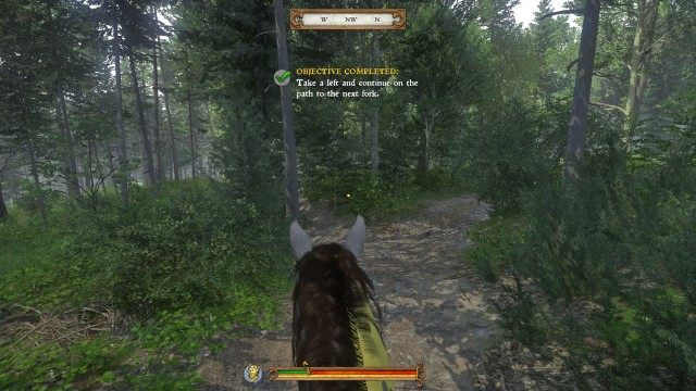 Take a left and continue on the path to the next fork.