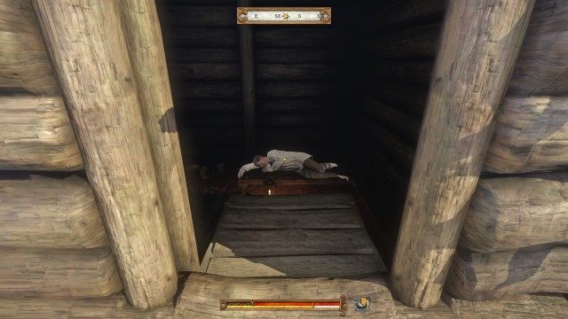 Villager