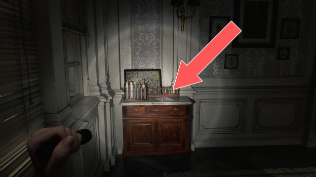 Lead Researcher's Message