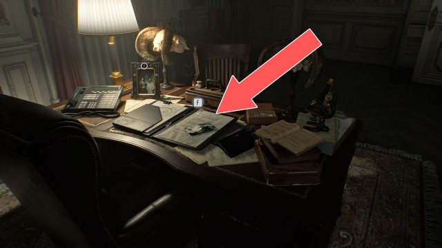 Lead Researcher's Picture 1