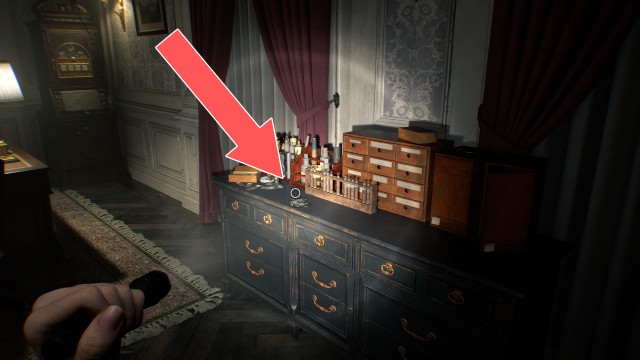 Lead Researcher's Picture 2