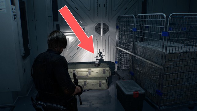 Mr. Raccoon (ARK, 1F)