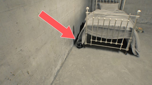 Mr. Raccoon (Care Center)