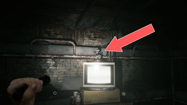 Mr. Raccoon (Care Center)