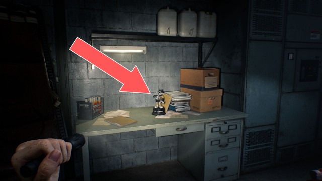 Mr. Raccoon (Care Center Courtyard)