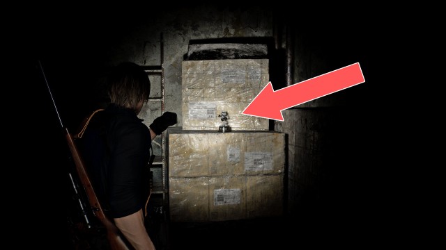 Mr. Raccoon (East Raccoon City)