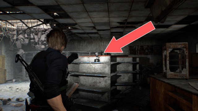 Mr. Raccoon (East Raccoon City)