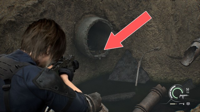 Mr. Raccoon (East Raccoon City)