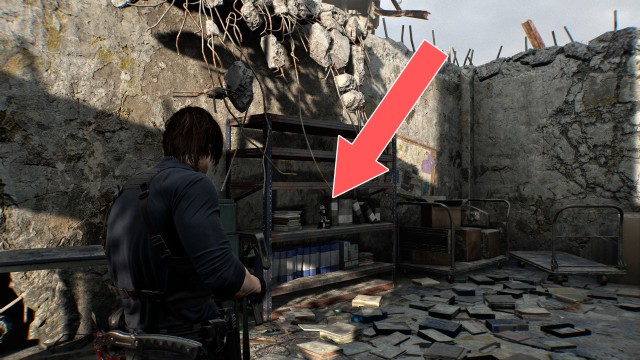 Mr. Raccoon (East Raccoon City)