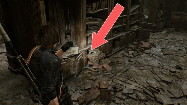 Mr. Raccoon (Raccoon City Center)