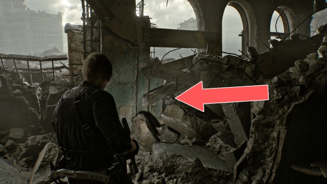 Mr. Raccoon (Raccoon City Center)