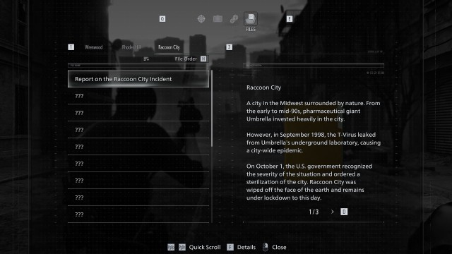 Report on the Raccoon City Incident