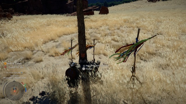 Examine the altar