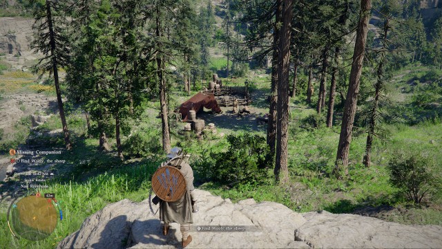 Find Wooly, the sheep