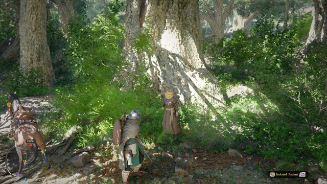 Forest of Trickery