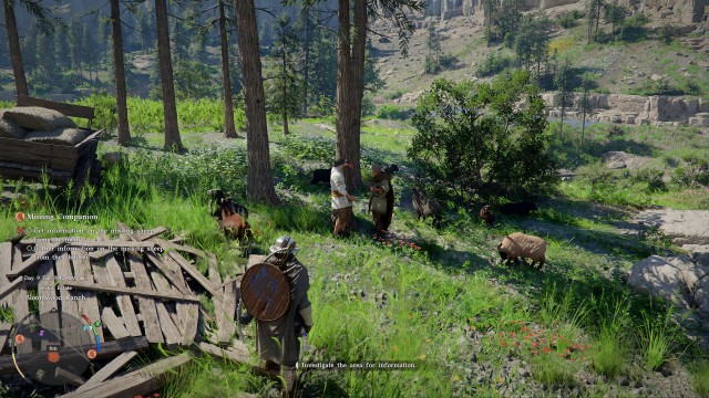 Get information on the missing sheep from the men