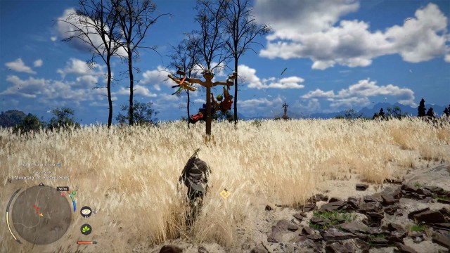 Track the Devil of the Reed Field