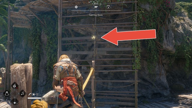 Animus Keys x30