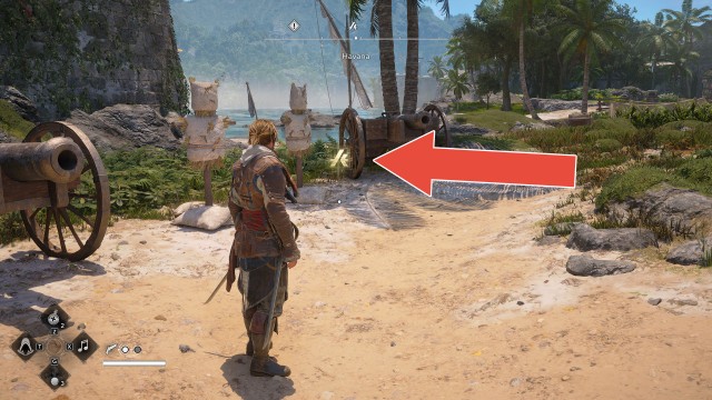 Animus Keys x30