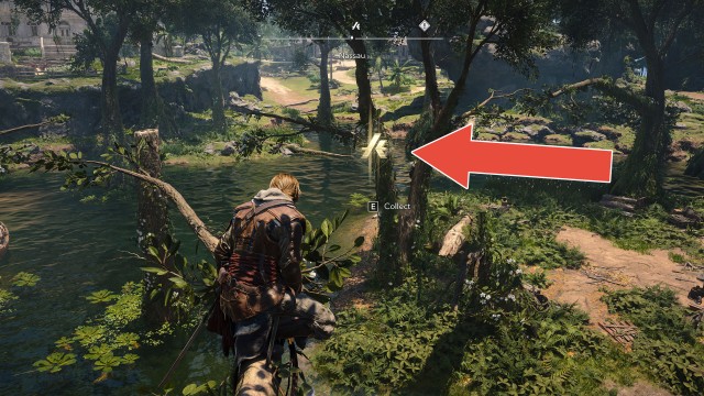 Animus Keys x30