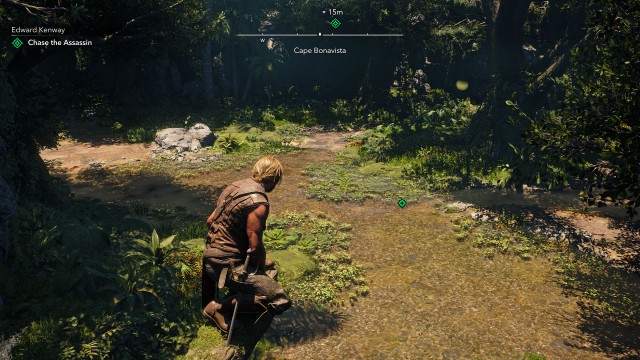 Chase the Assassin